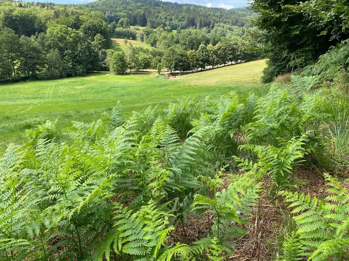 Hüttenflair im Gut Sonnenwald Schöllnach